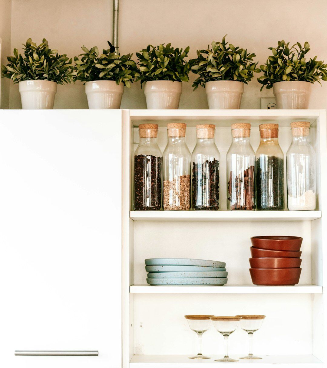 organized kitchen cabinets